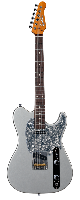 Silver Telecaster-style electric guitar with speckled pickguard, rosewood fretboard and chrome hardware on white background