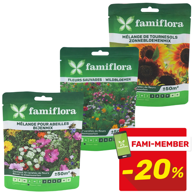 Three Famiflora seed mix packets (bee mix, wildflowers, sunflowers) displayed with a red Fami‑Member 20% off badge